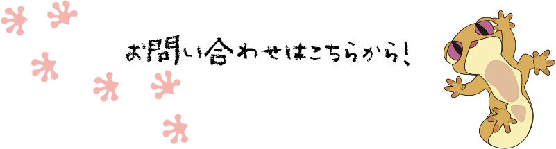 お問い合わせはこちらから!